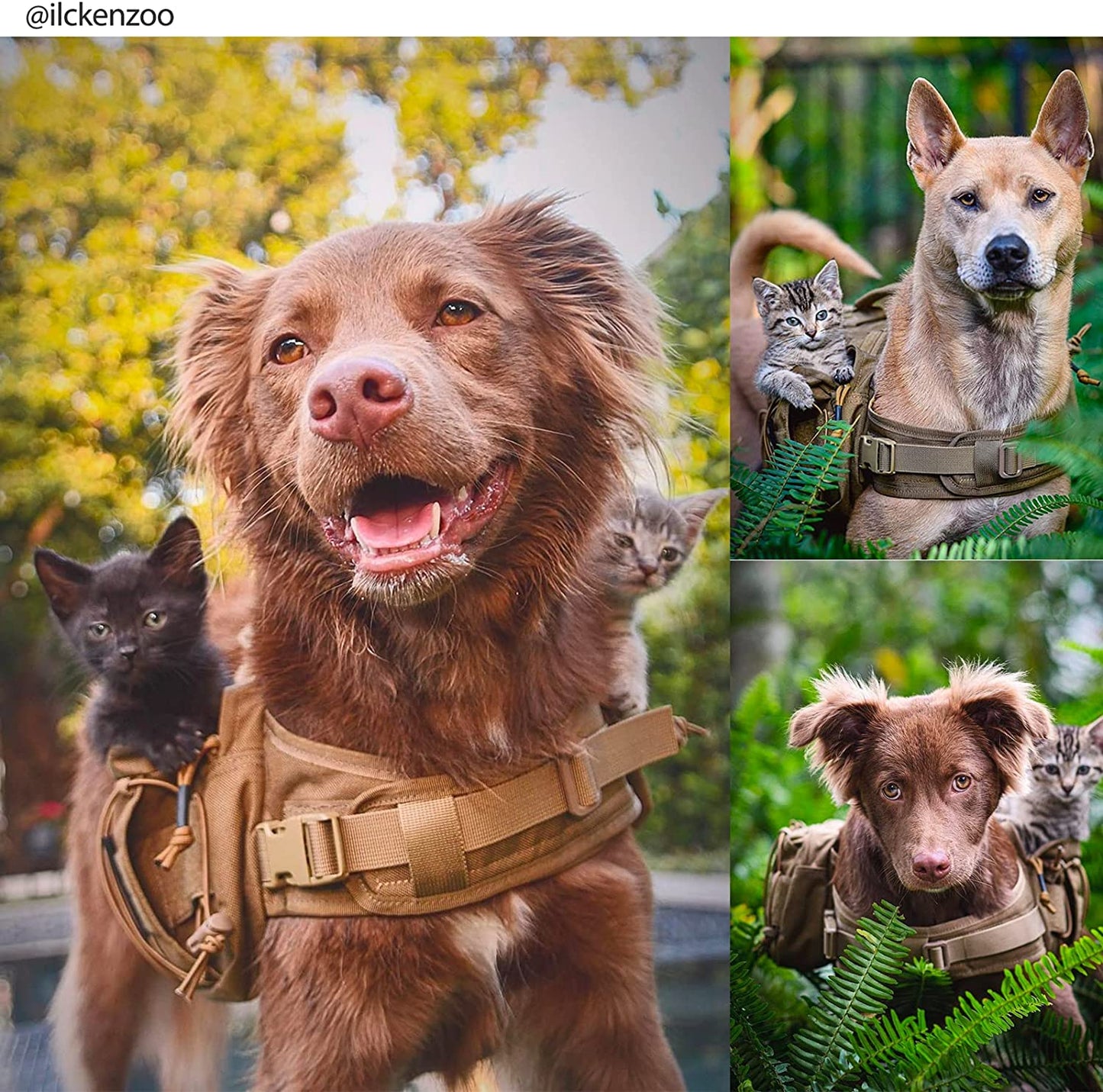 Tactical 1000D Nylon Dog Backpack for Medium and Large Breeds - Versatile Side Pockets for Hiking, Training, and Outdoor Adventures (Brown, Medium)