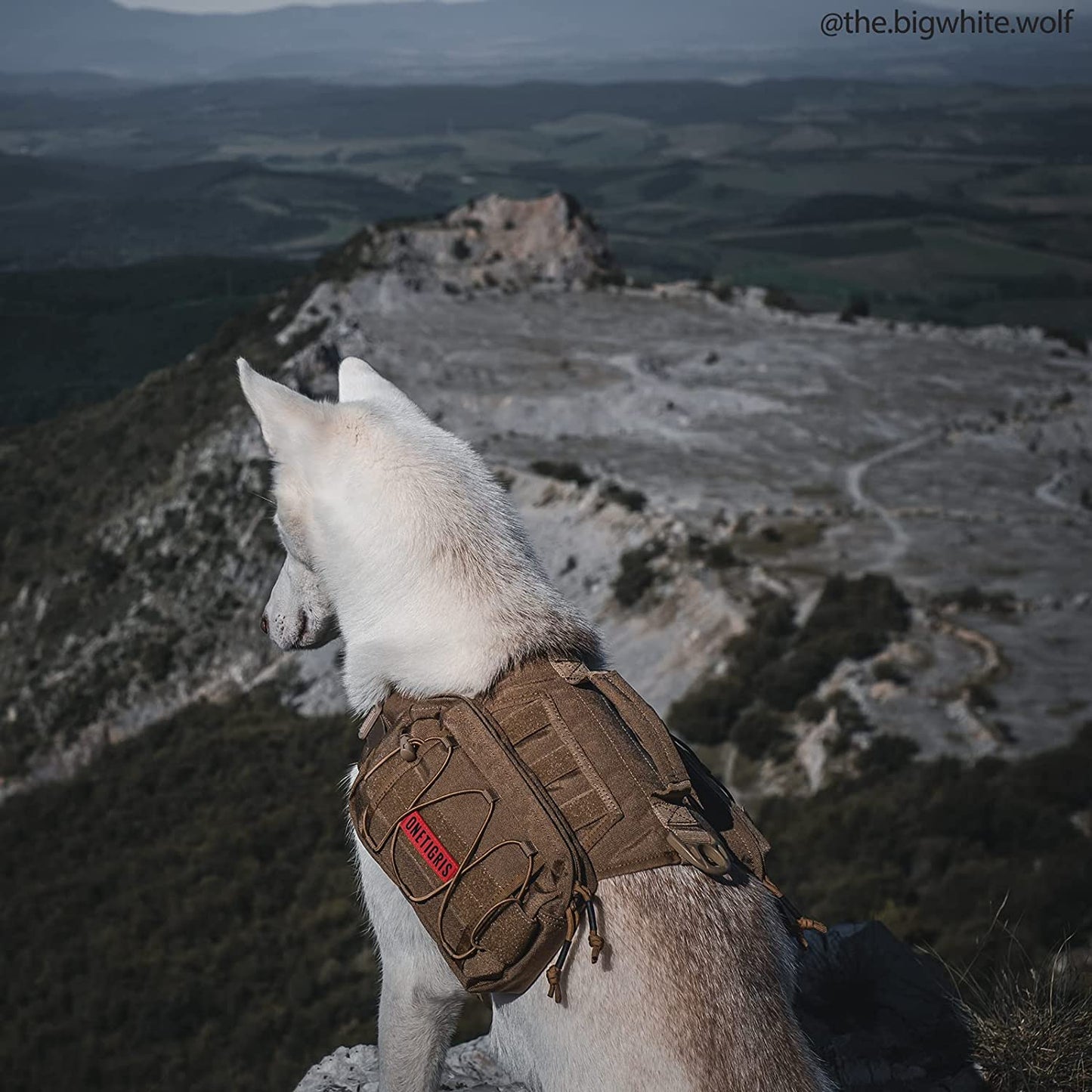Tactical 1000D Nylon Dog Backpack for Medium and Large Breeds - Versatile Side Pockets for Hiking, Training, and Outdoor Adventures (Brown, Medium)